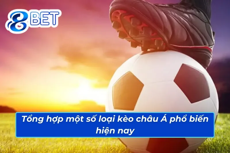 Kèo Châu Á 88Bet - Sự Lựa Chọn Hoàn Hảo Mang Đến Thắng Lớn 3 Danh sách các hình thức kèo châu Á 88Bet nổi tiếng