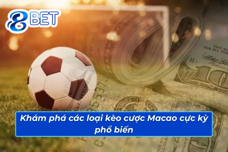 Kèo Macao 88Bet- Cơ Hội Nhận Thưởng Hấp Dẫn Với Mẹo Đỉnh Cao 3 Các tỷ lệ cược được lựa chọn nhiều trong kèo Macao 88Bet